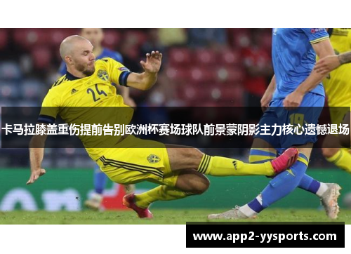 卡马拉膝盖重伤提前告别欧洲杯赛场球队前景蒙阴影主力核心遗憾退场